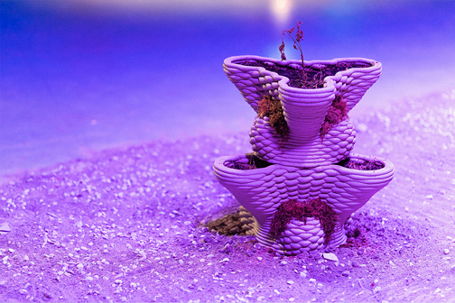 Concrete 3D printing project with twisted purple architectural structure