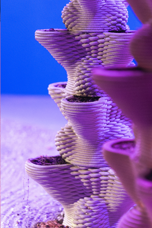 3D printed concrete planters with twisted geometric shapes in purple tones