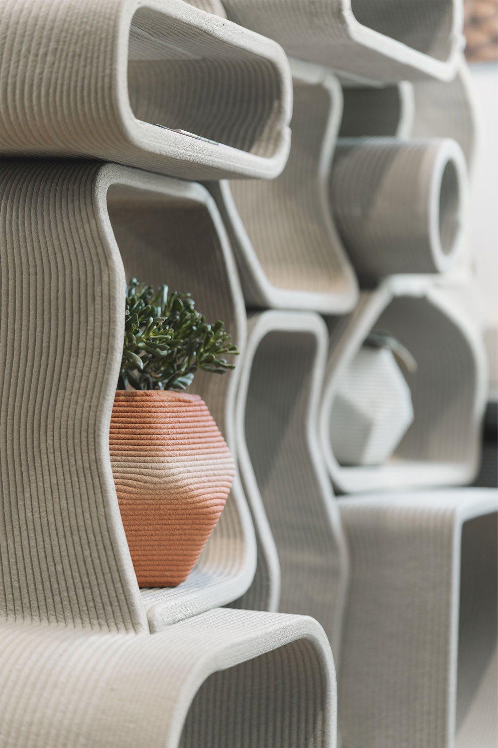 Terracotta plant in curved white modular shelving unit