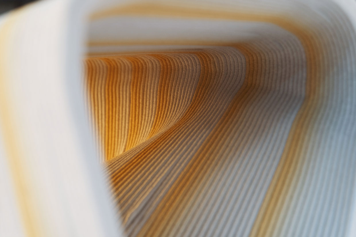 Curved wooden surface with gradient lines creating organic architectural flow