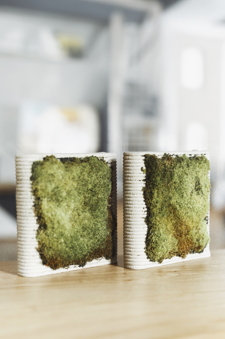 Two moss-covered ceramic containers on a wooden surface