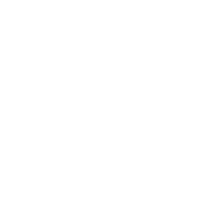 P101