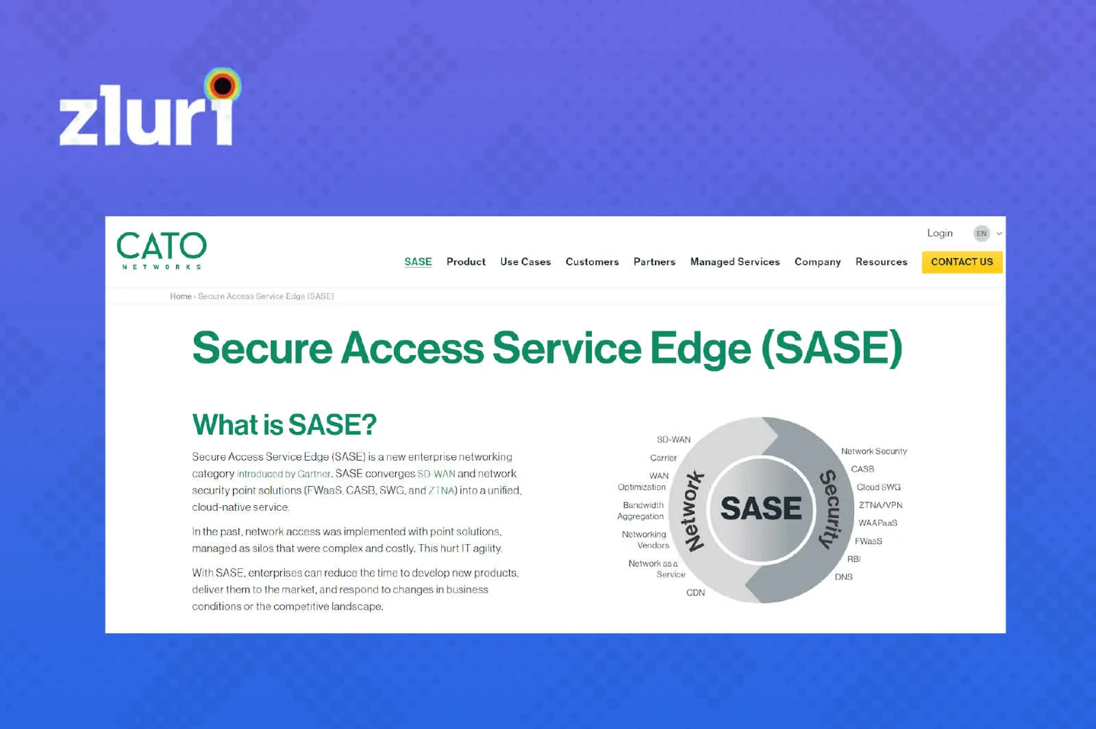 Asset Image