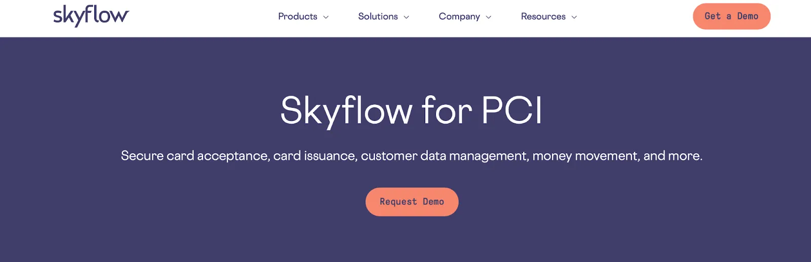 This is the home page of Skyflow