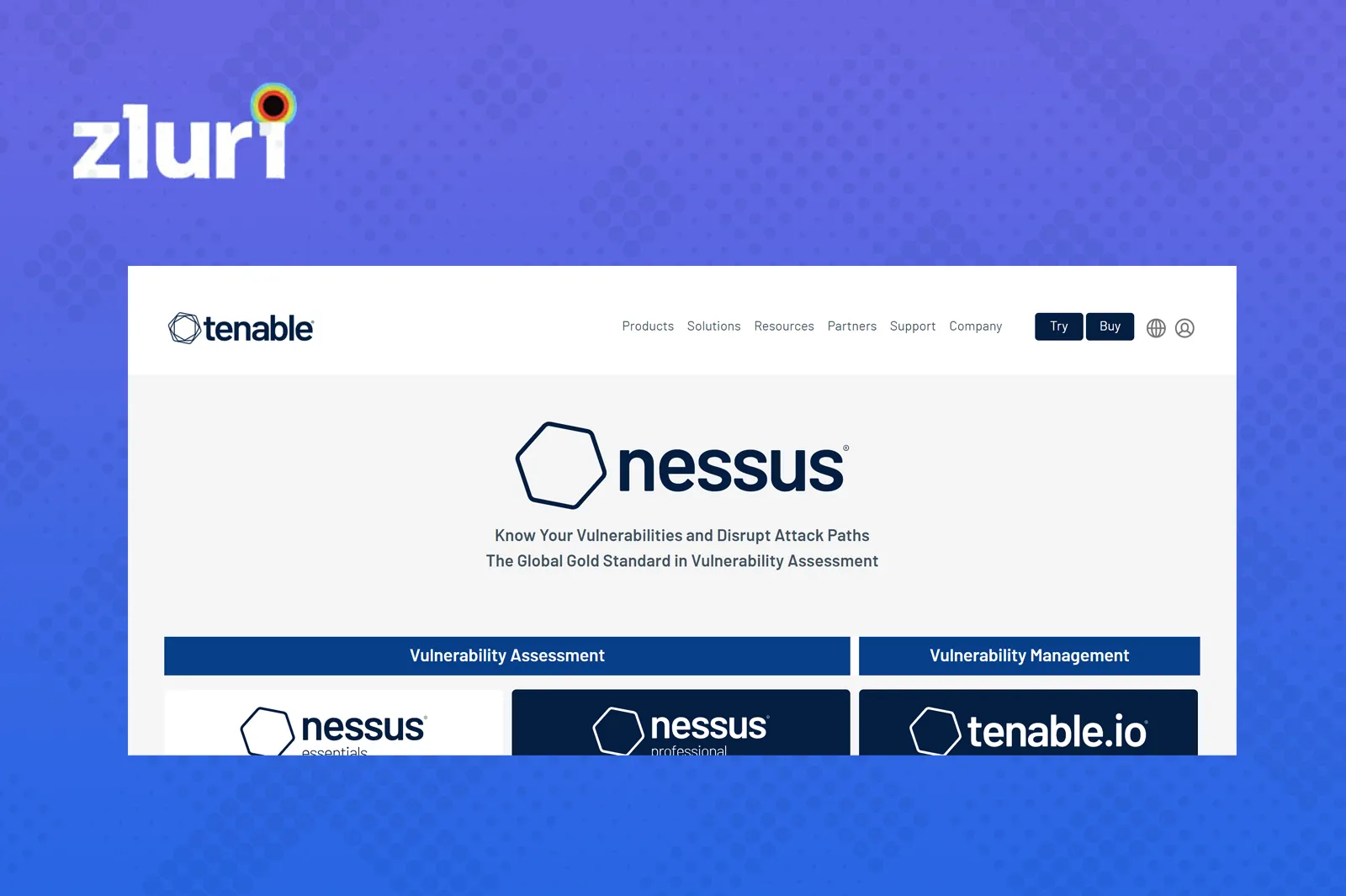 Asset Image