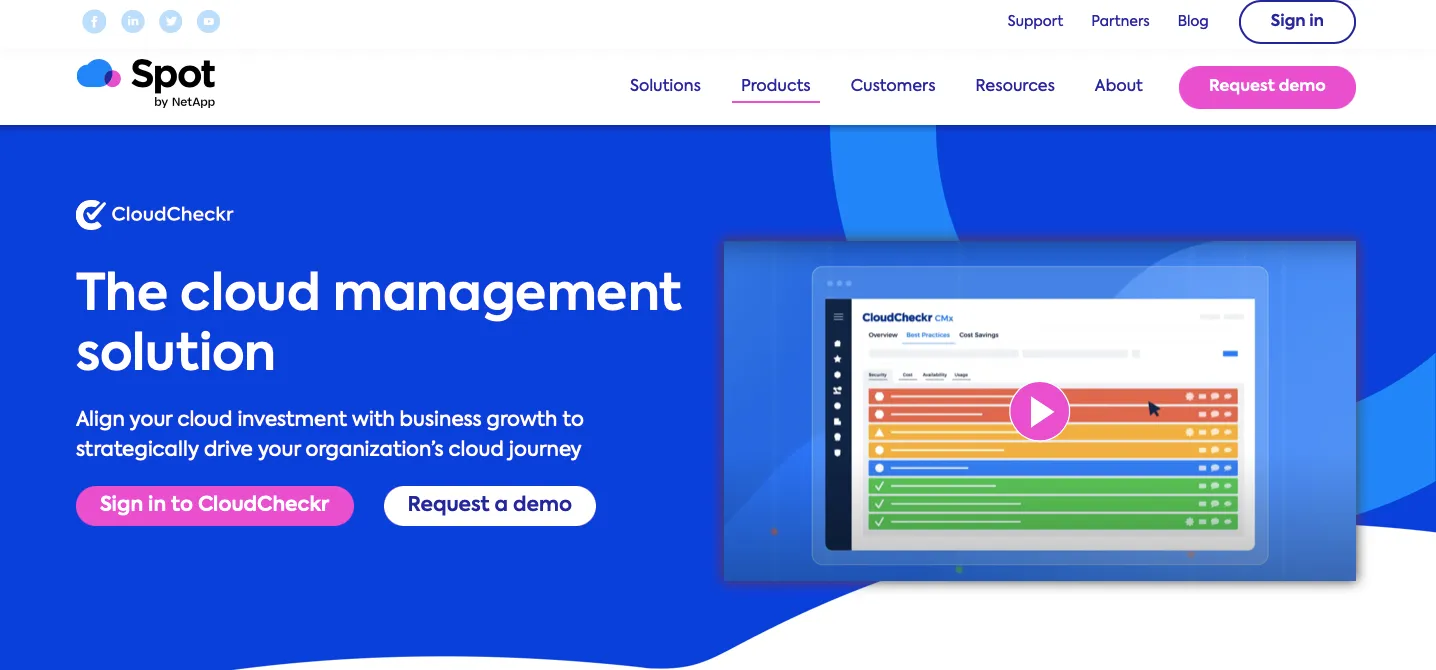 Asset Image
