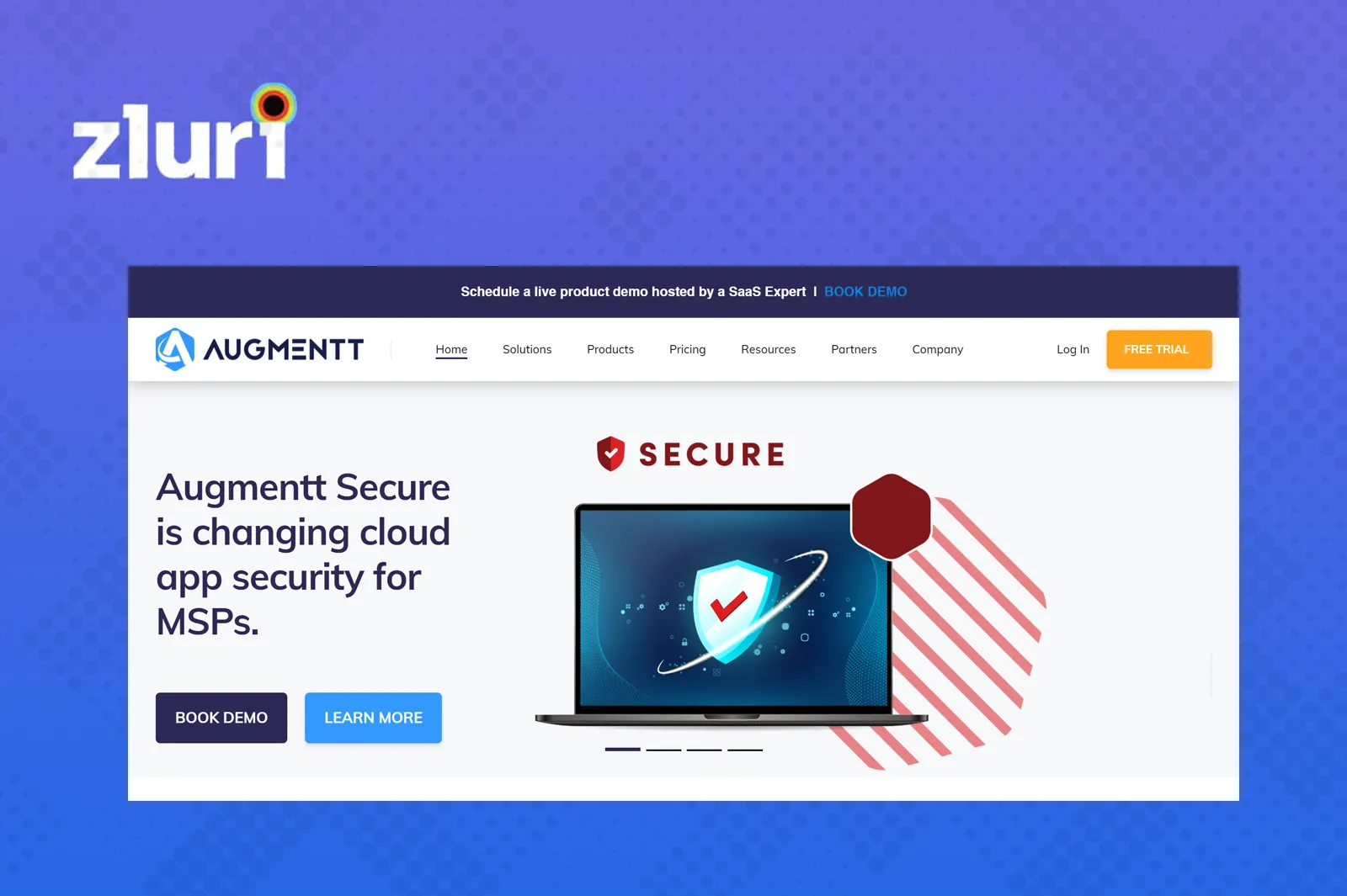Asset Image