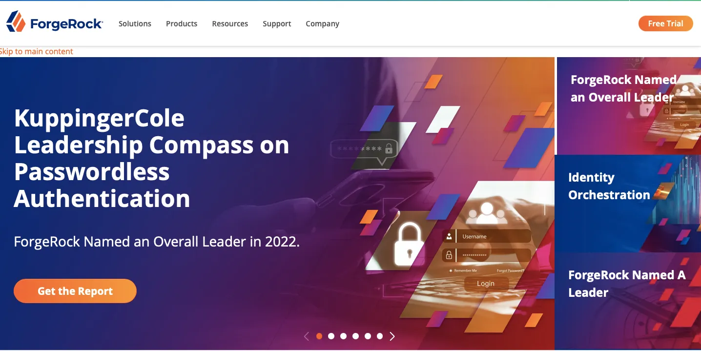 Asset Image