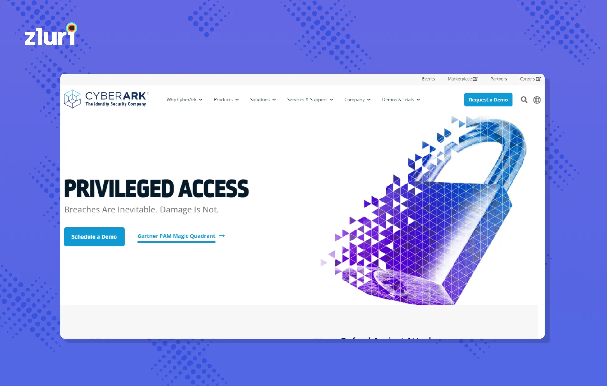 Asset Image