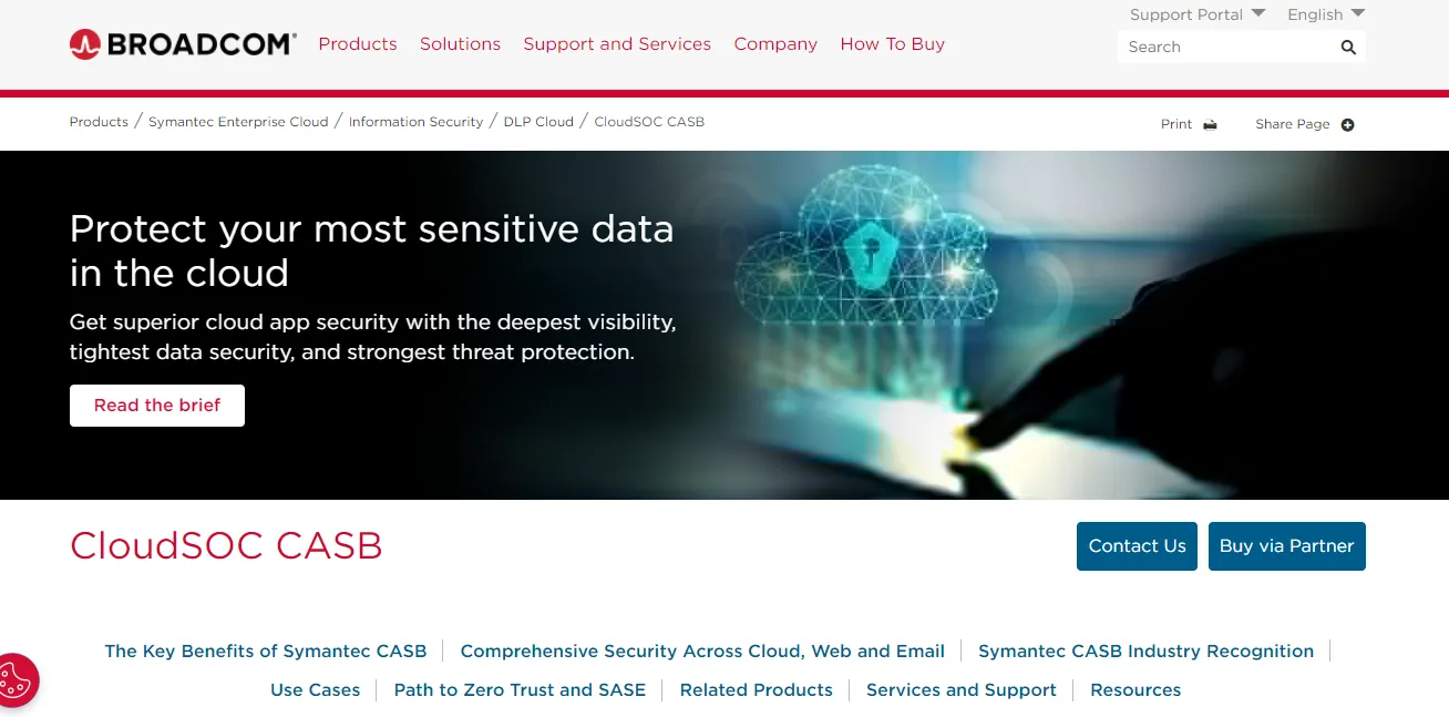 Asset Image