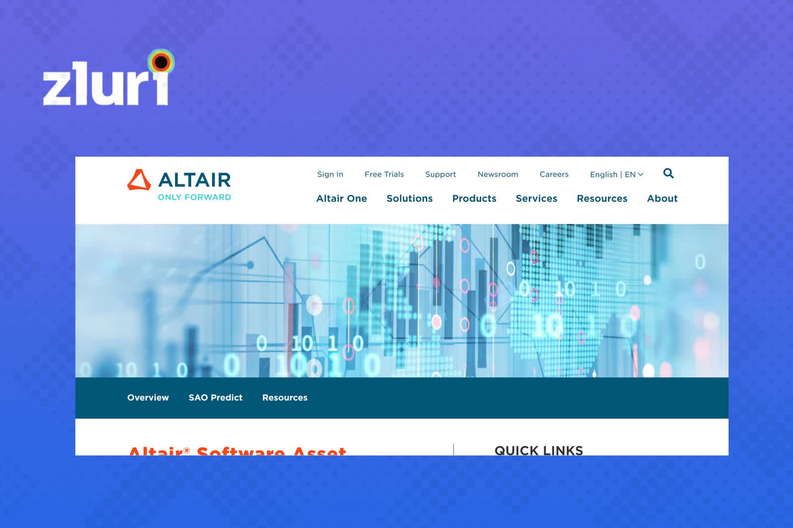 Software asset optimization by Altair - software license management tools.