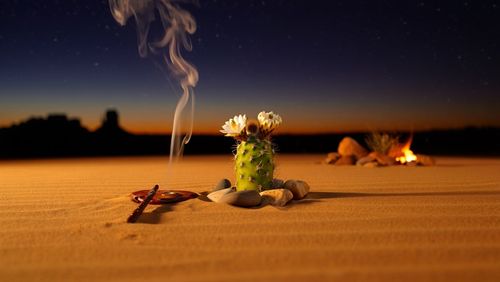 Peyote Ceremony for Healing: A Sacred Vision Quest | Arkana