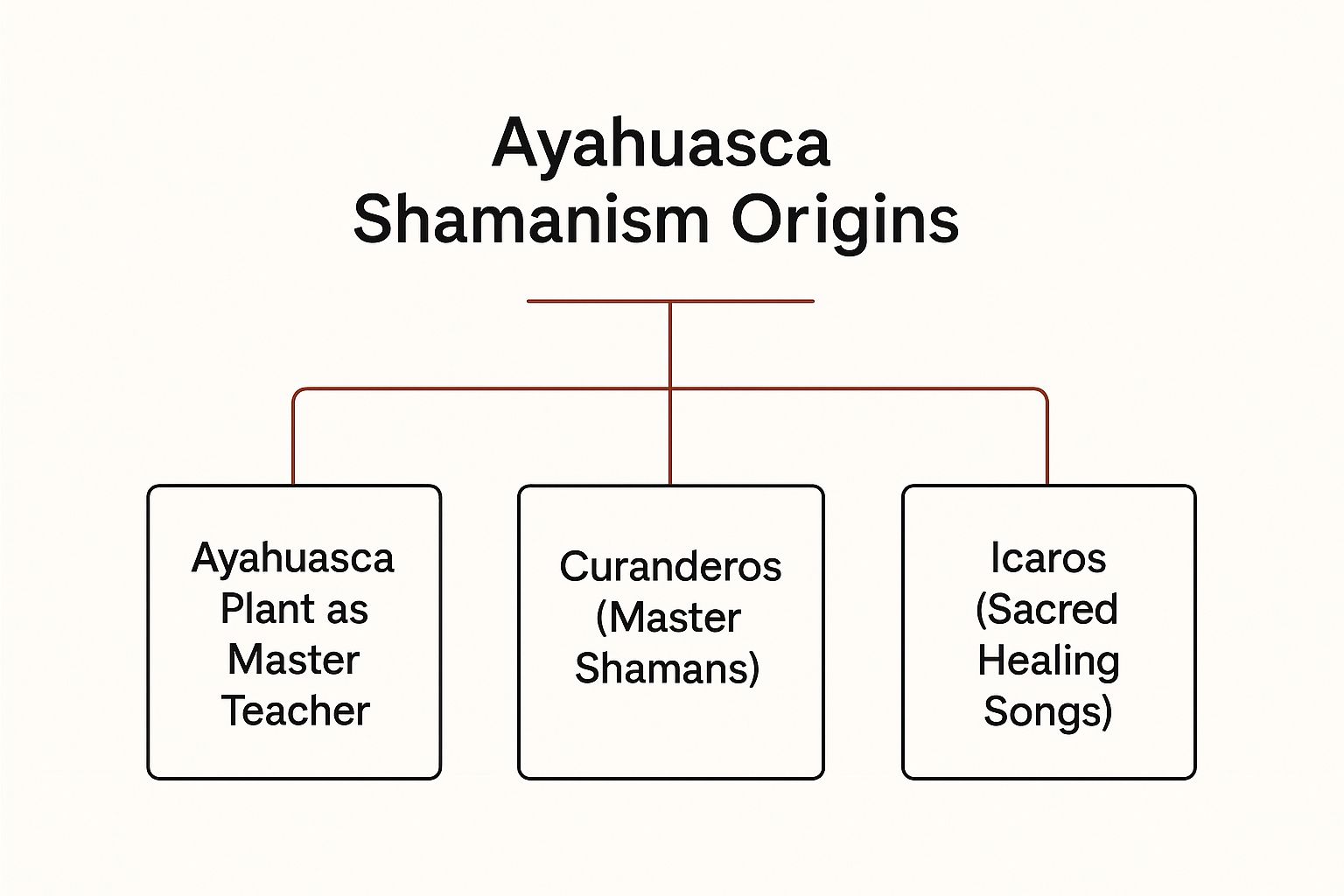 Infographic about ayahuasca shamanism