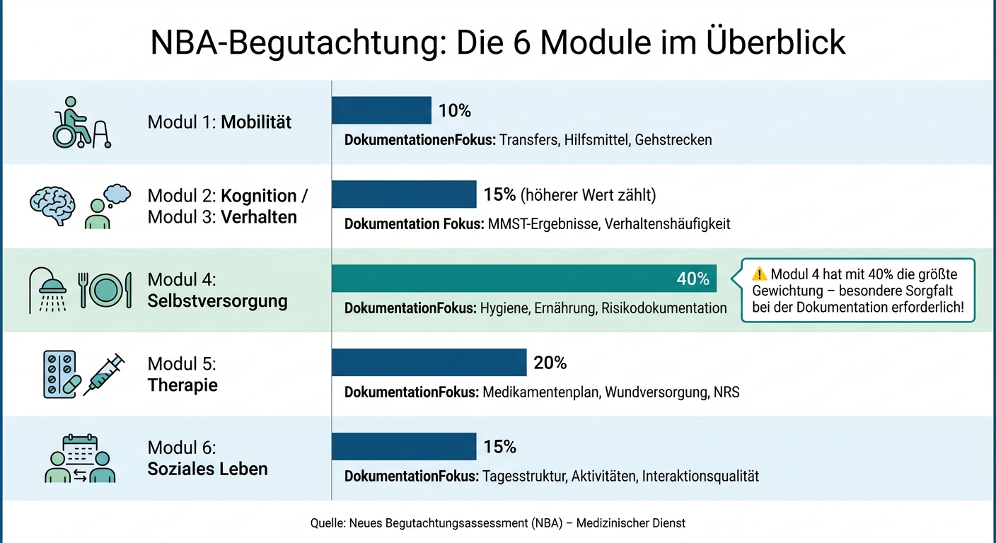 NBA-Module: Gewichtung & Dokumentationsschwerpunkte auf einen Blick