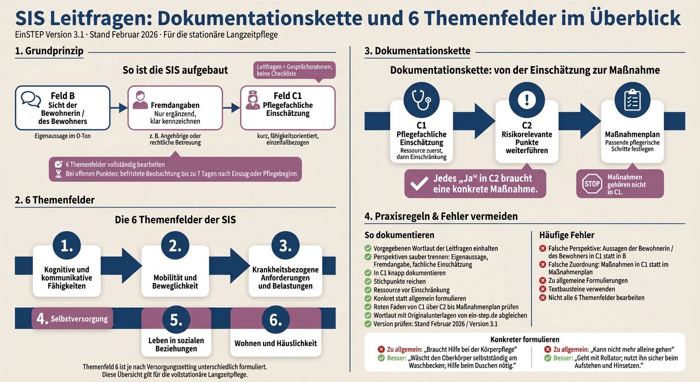 SIS Leitfragen: Dokumentationskette und 6 Themenfelder im Überblick