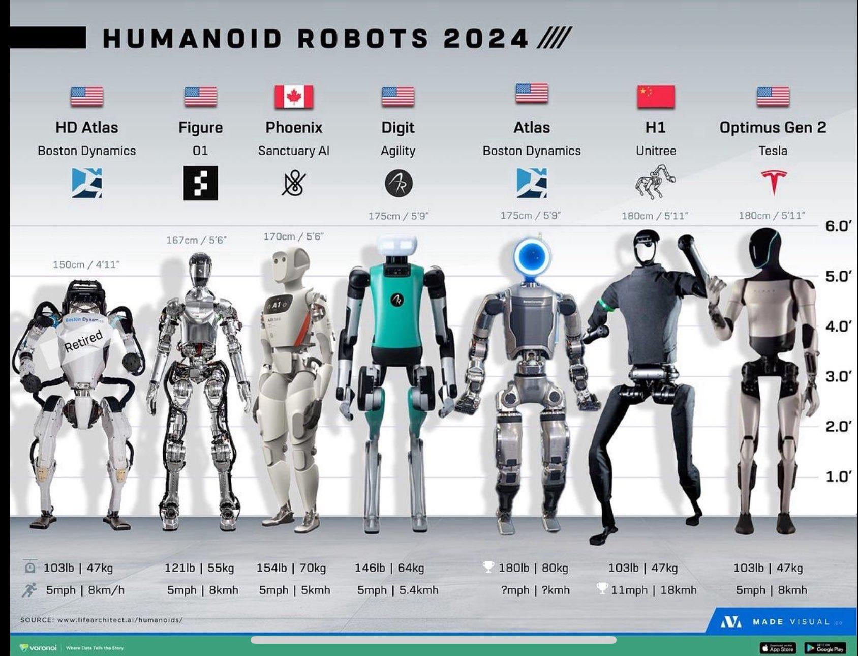 2024 Humanoid Robot Industry Comparison showing scale and specifications of Tesla Optimus Gen 2, Boston Dynamics Atlas, Unitree H1, Figure 01, Agility Digit, and Sanctuary Phoenix humanoid robots side by side with height, weight, and speed data