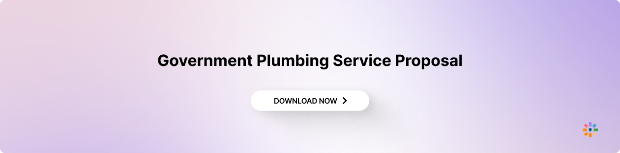The Government Plumbing Service Proposal