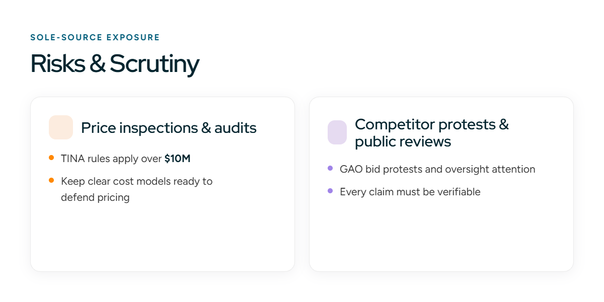Risks and Scrutiny
