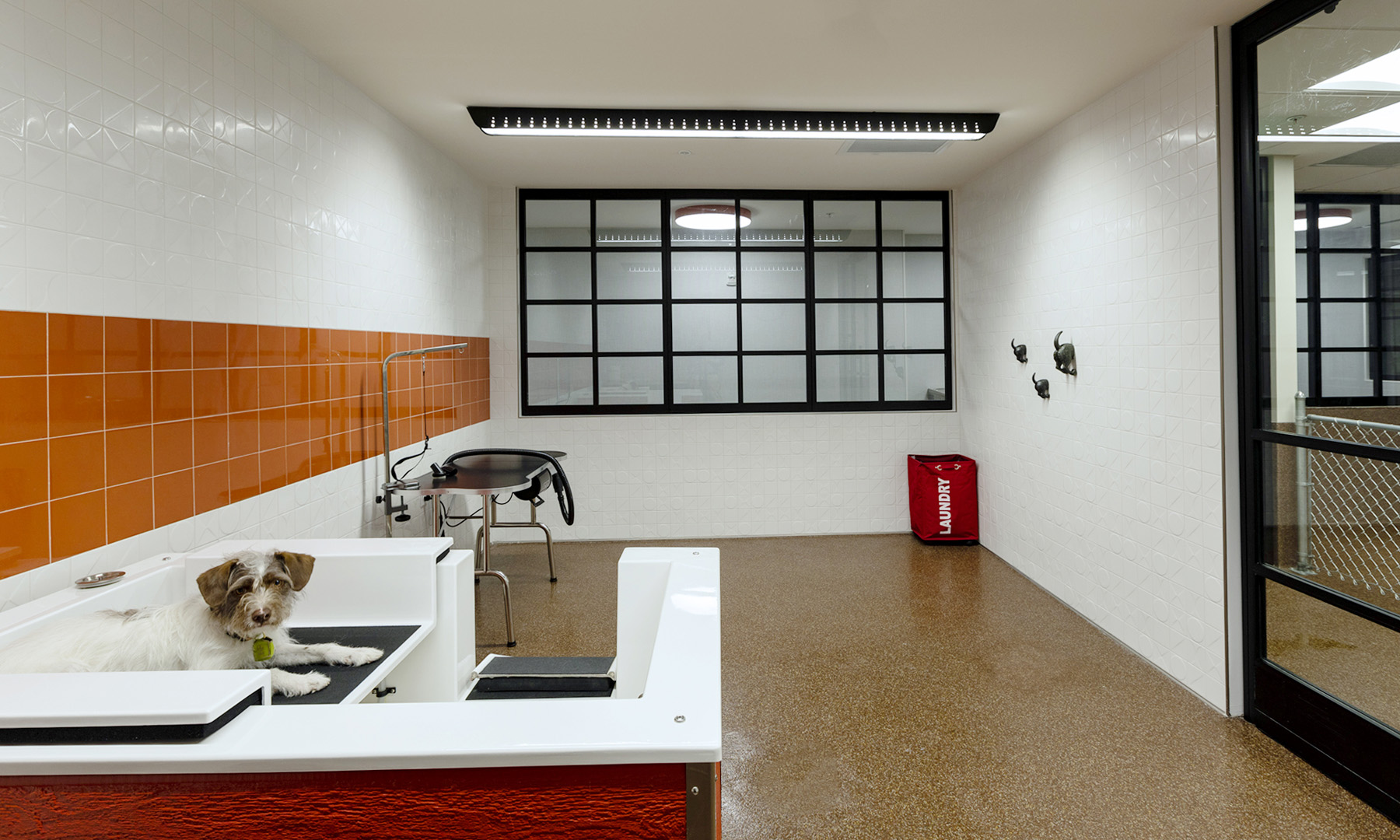 2 Hopkins — interior view 4