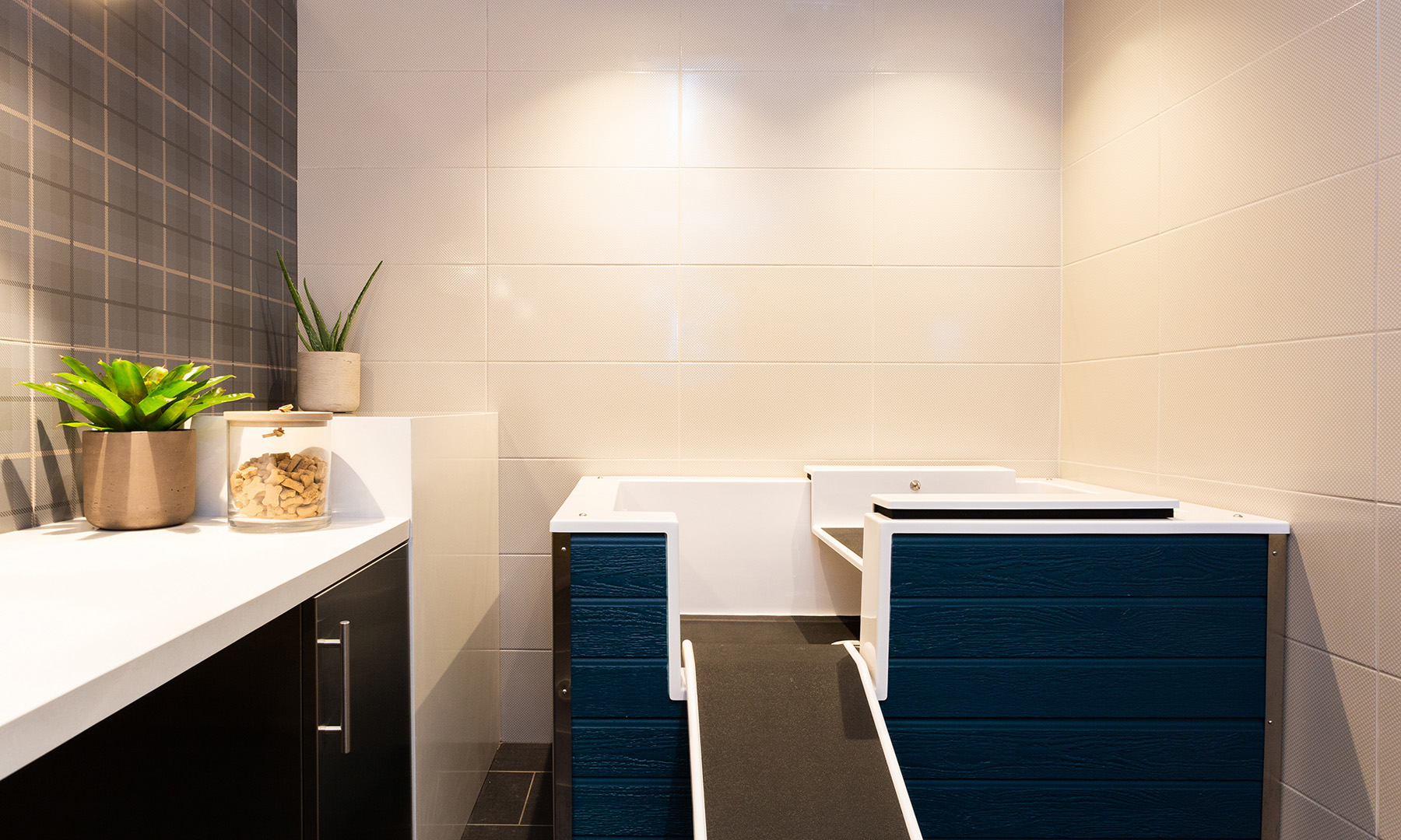 Meridian On First — interior view 18