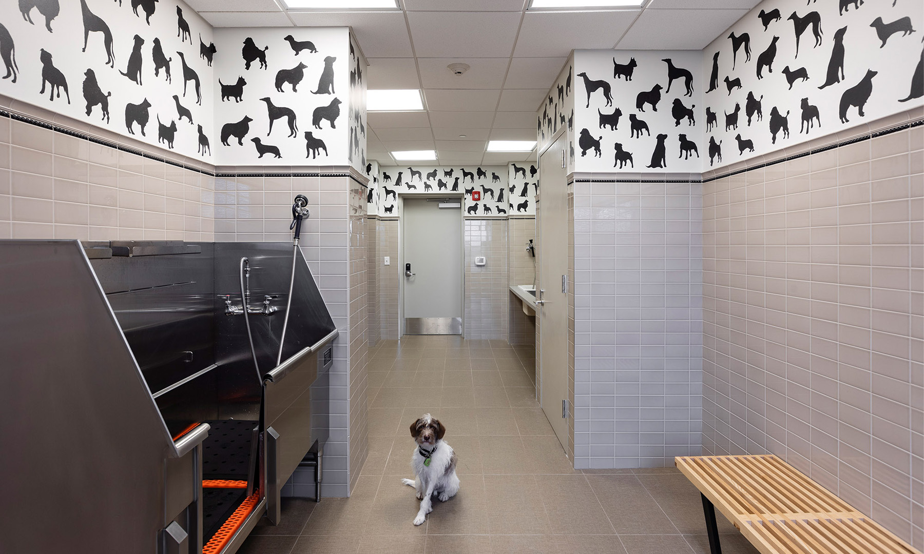 Remy — interior view 19