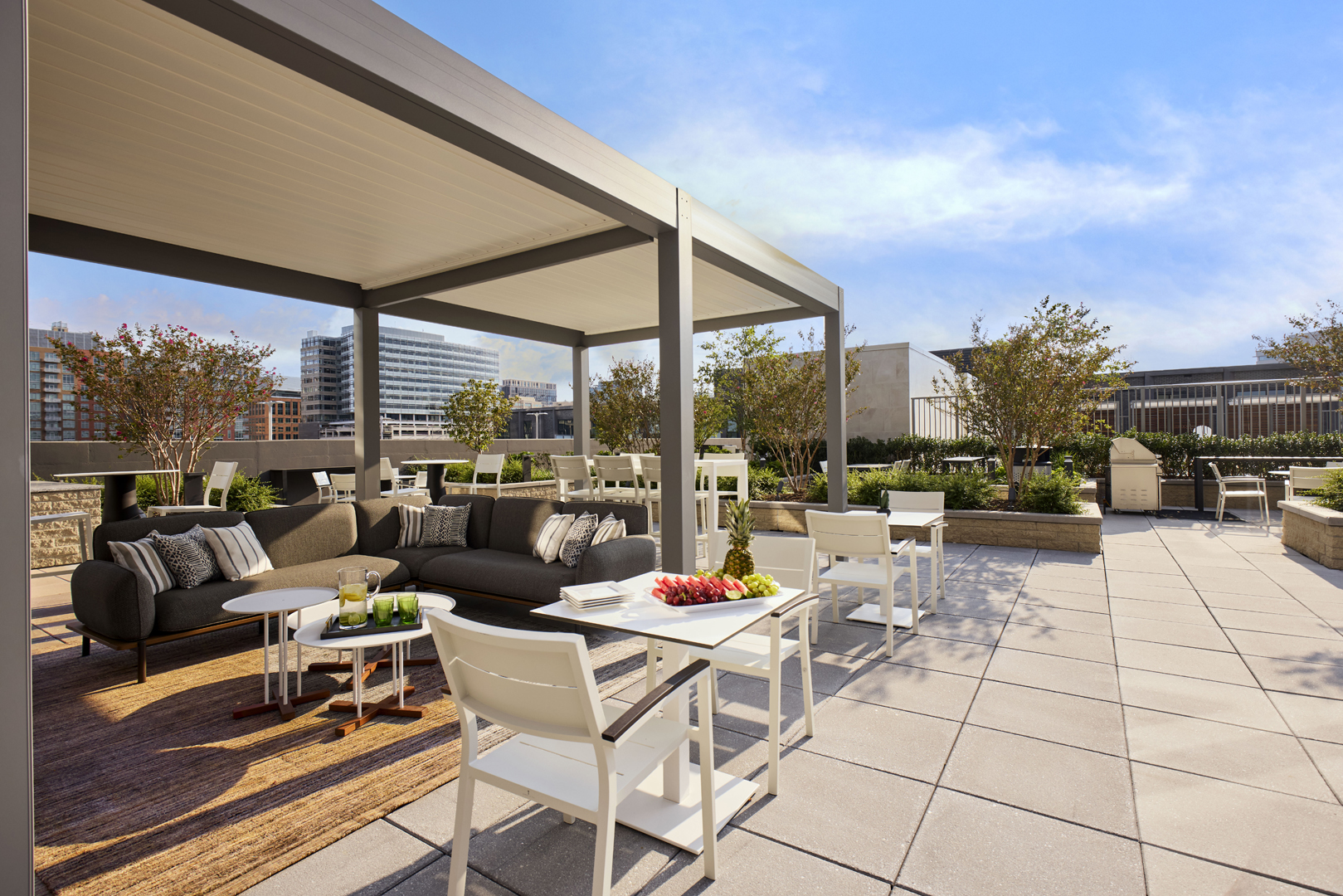 Skymark at Reston Town Center — interior view 21