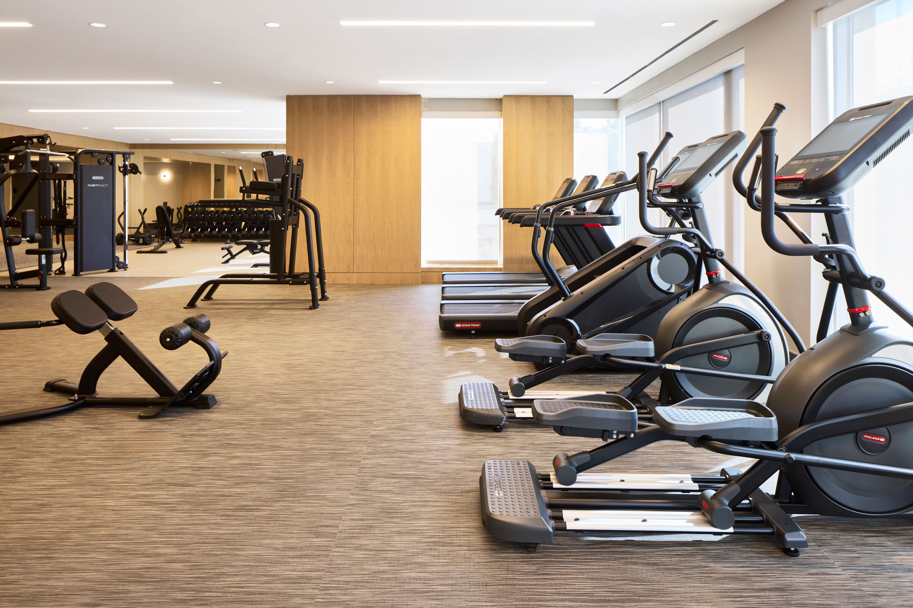 Sophia Bethesda — interior view 15