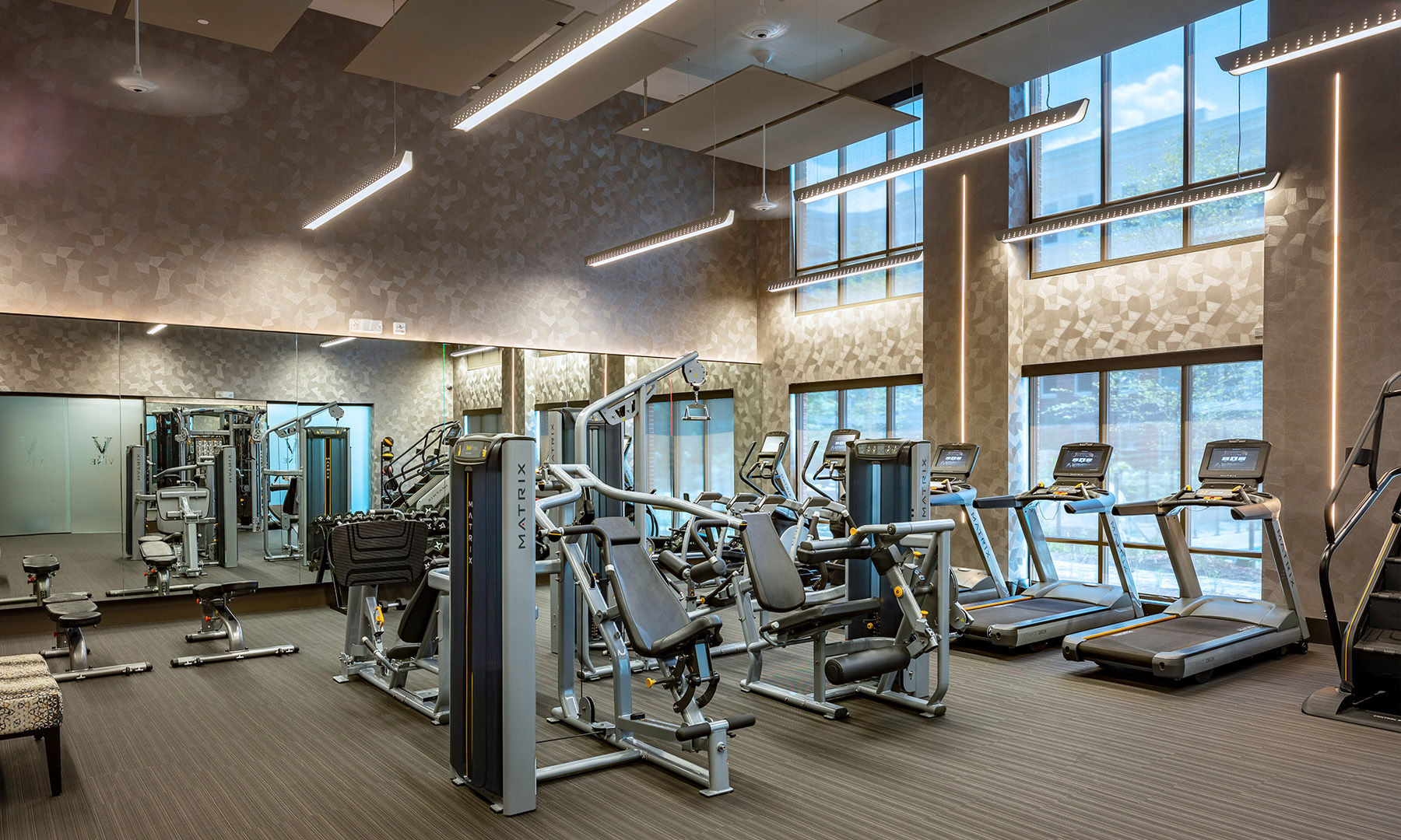 The Vine — interior view 11