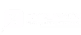 Dynamix Physical Therapy logo