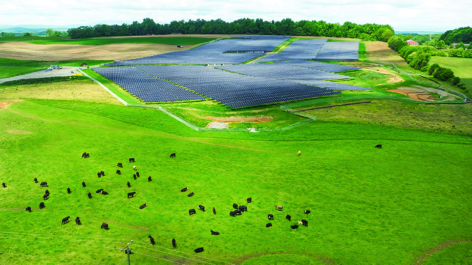 Solar panels in a field