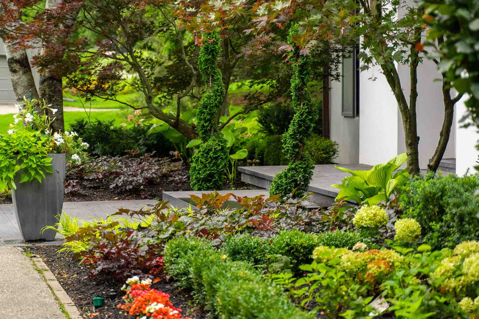 Refined curb appeal with modern and traditional landscape design, pairing lush, curated perennial palettes with clean-lined stone for a sophisticated entrance.