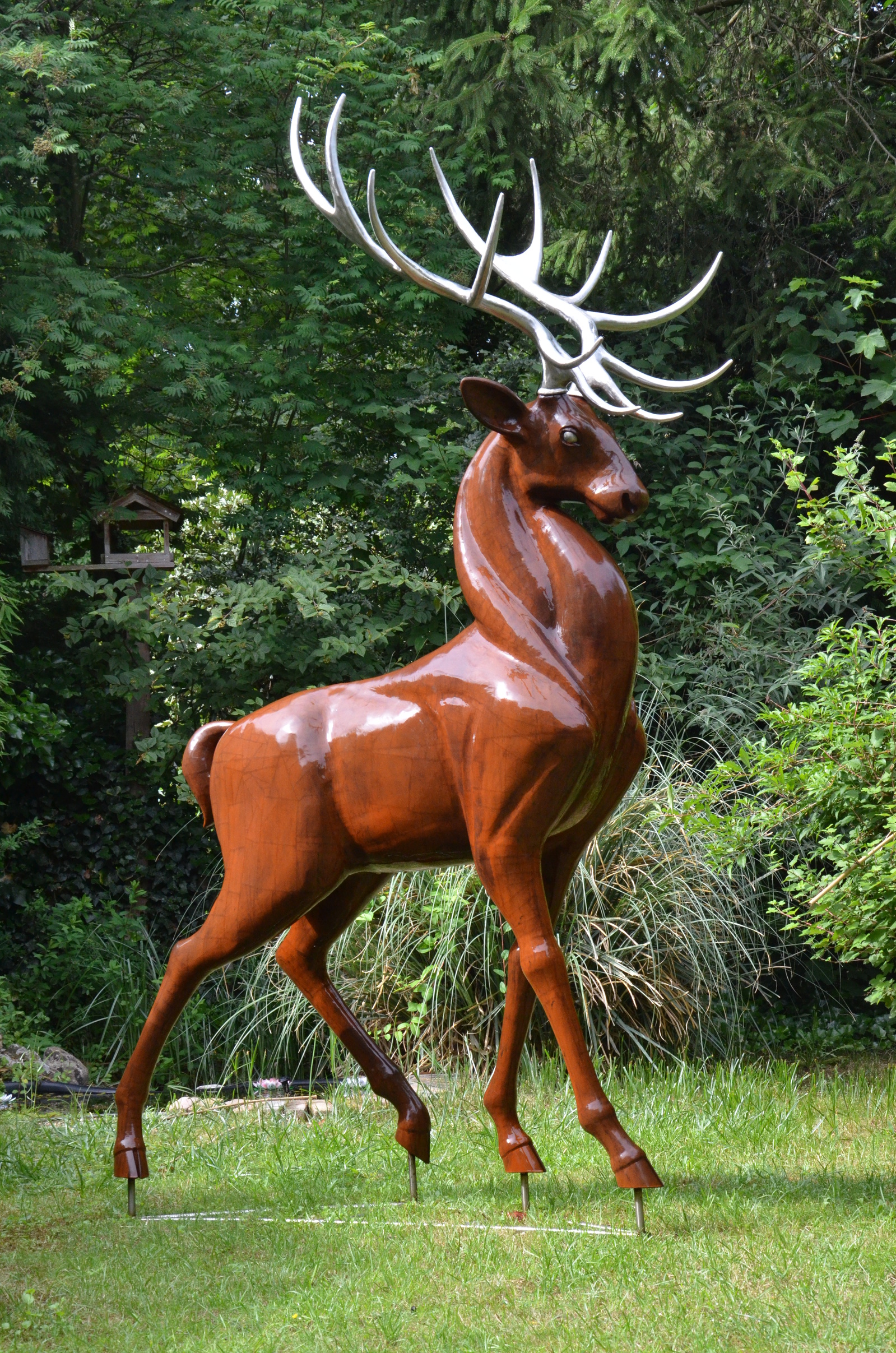 Deer