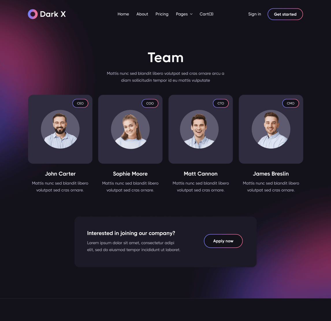 Team Page - Dark X Webflow Template