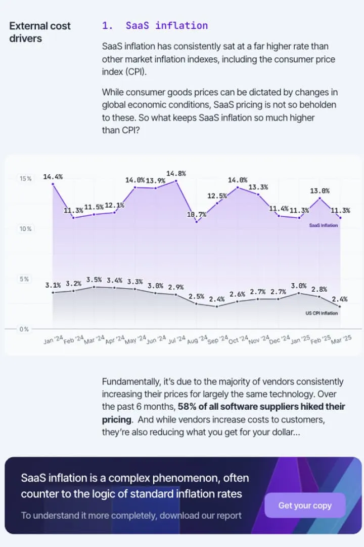 CFO Guide: Make Your SaaS Spend More Efficient in 6 Months