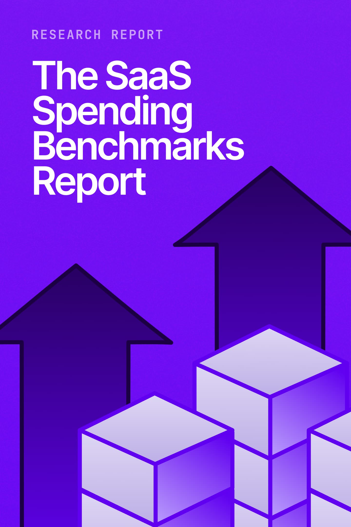 SaaS Spending Benchmarks 2025 Report