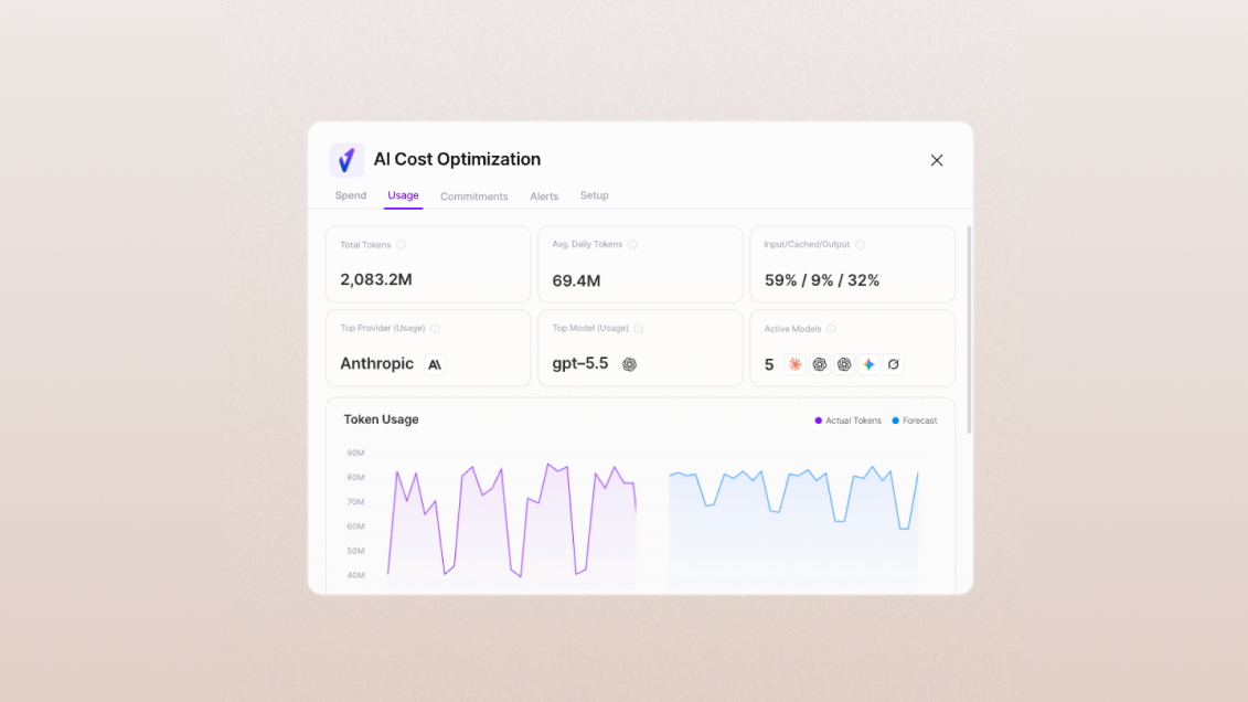 Vertice launches AI Cost Optimization 