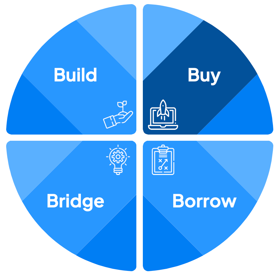 Quadrants in a circle - Build, Buy, Bridge and Borrow. Buy is highlighted