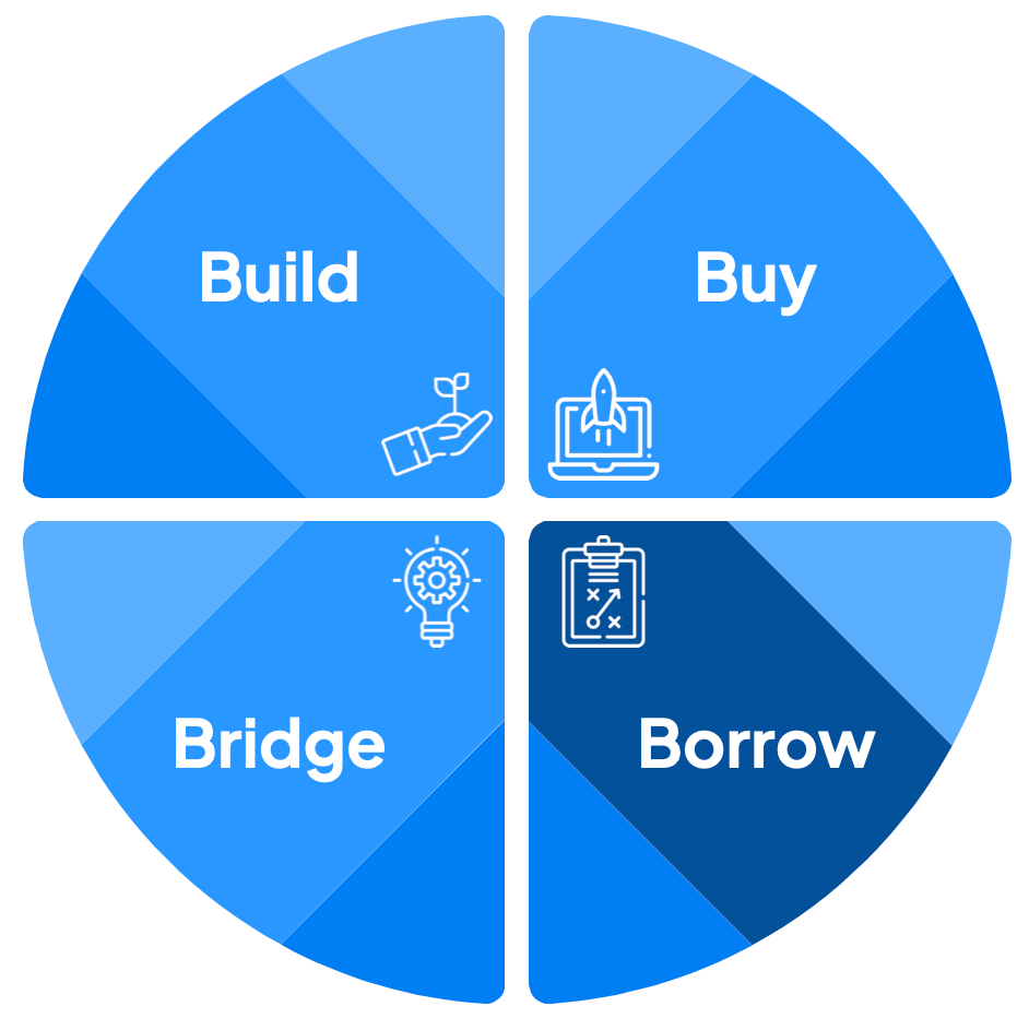 Quadrants in a circle - Build, Buy, Bridge and Borrow. Borrow is highlighted