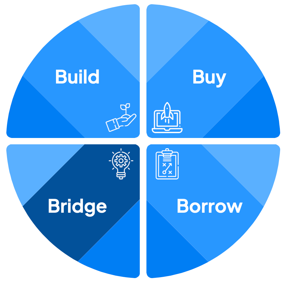 Quadrants in a circle - Build, Buy, Bridge and Borrow. Bridge is highlighted