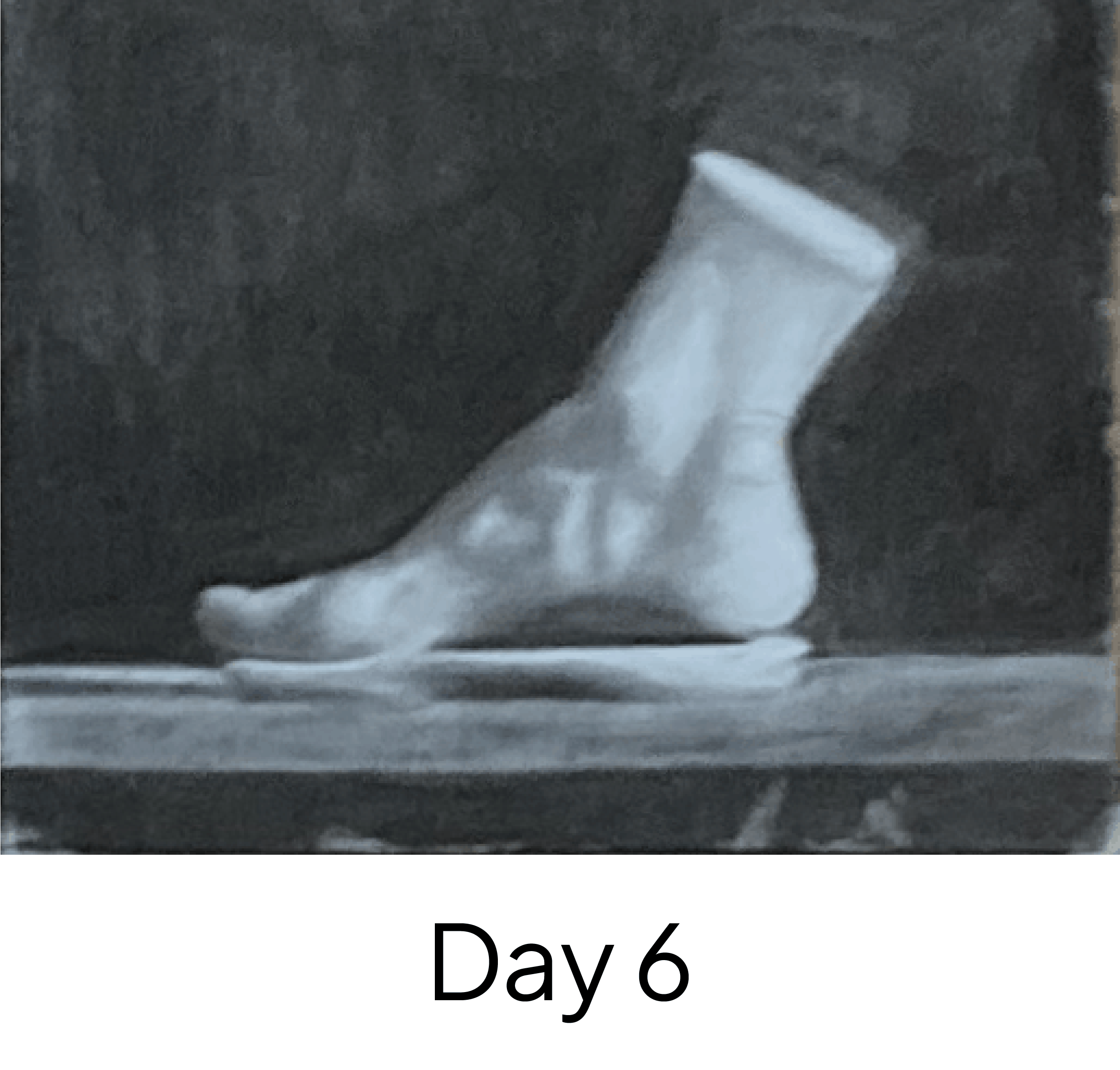 Day 6