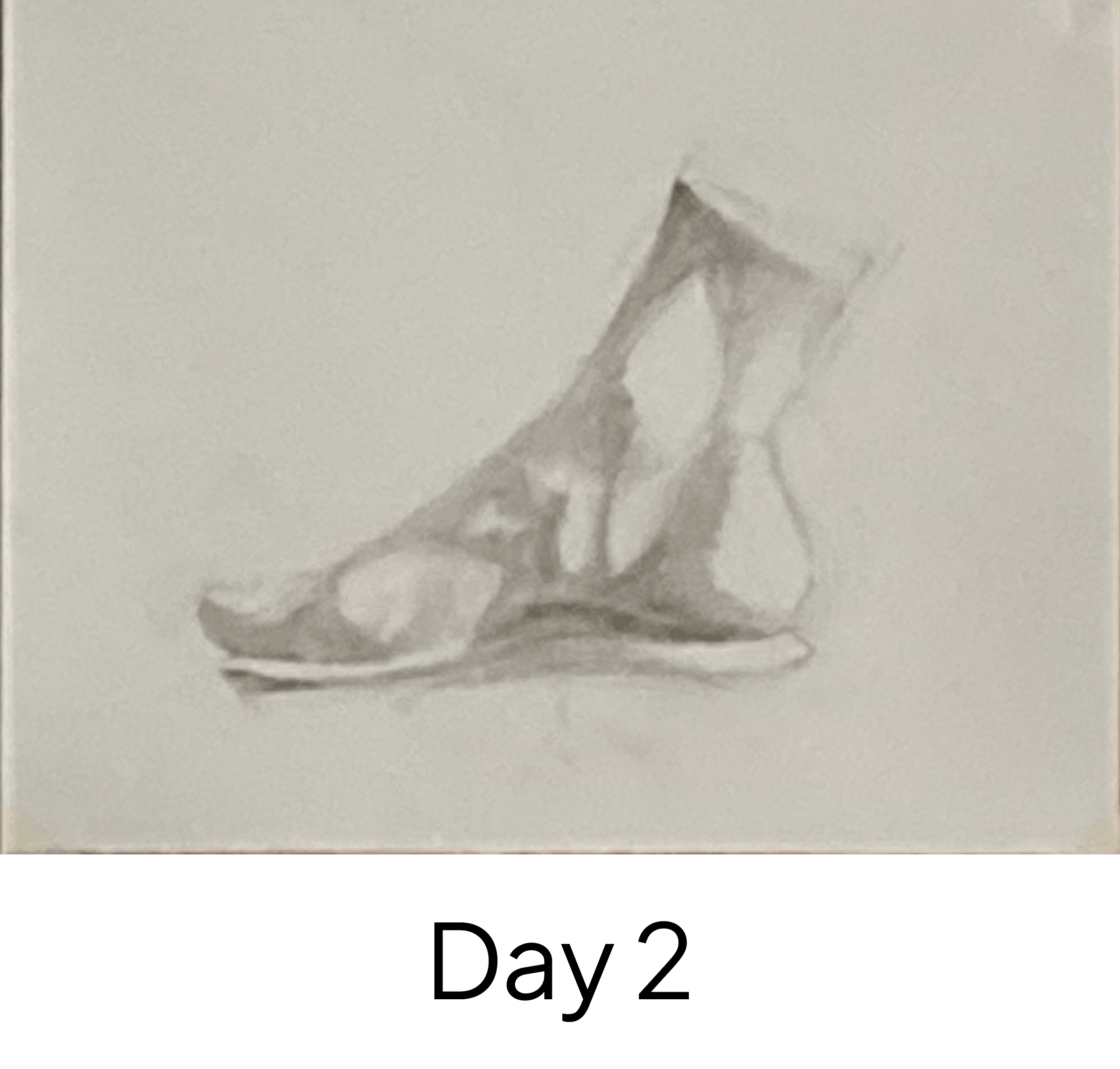 Day 2