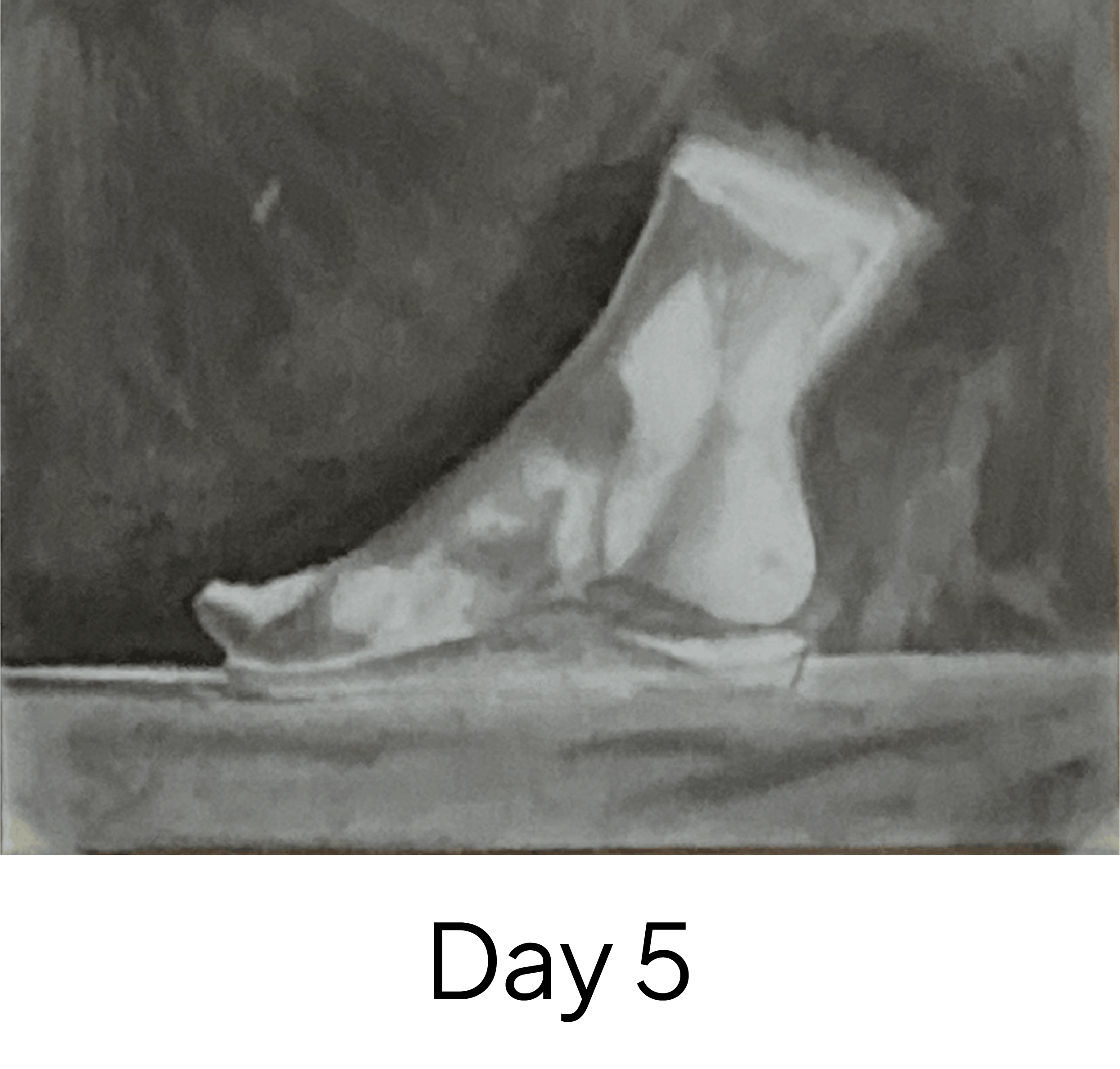 Day 5