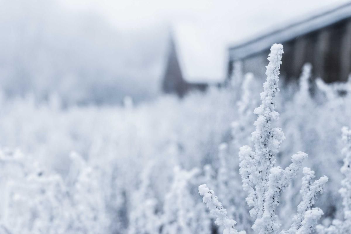 Snowy winter landscape with blurred church spire in distance.
