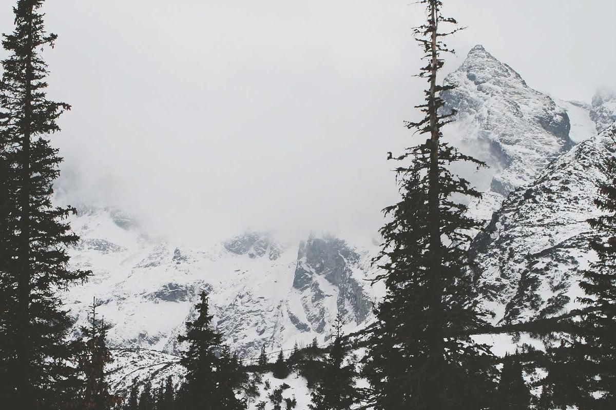 Snowy mountain peaks surrounded by pine trees in foggy landscape.