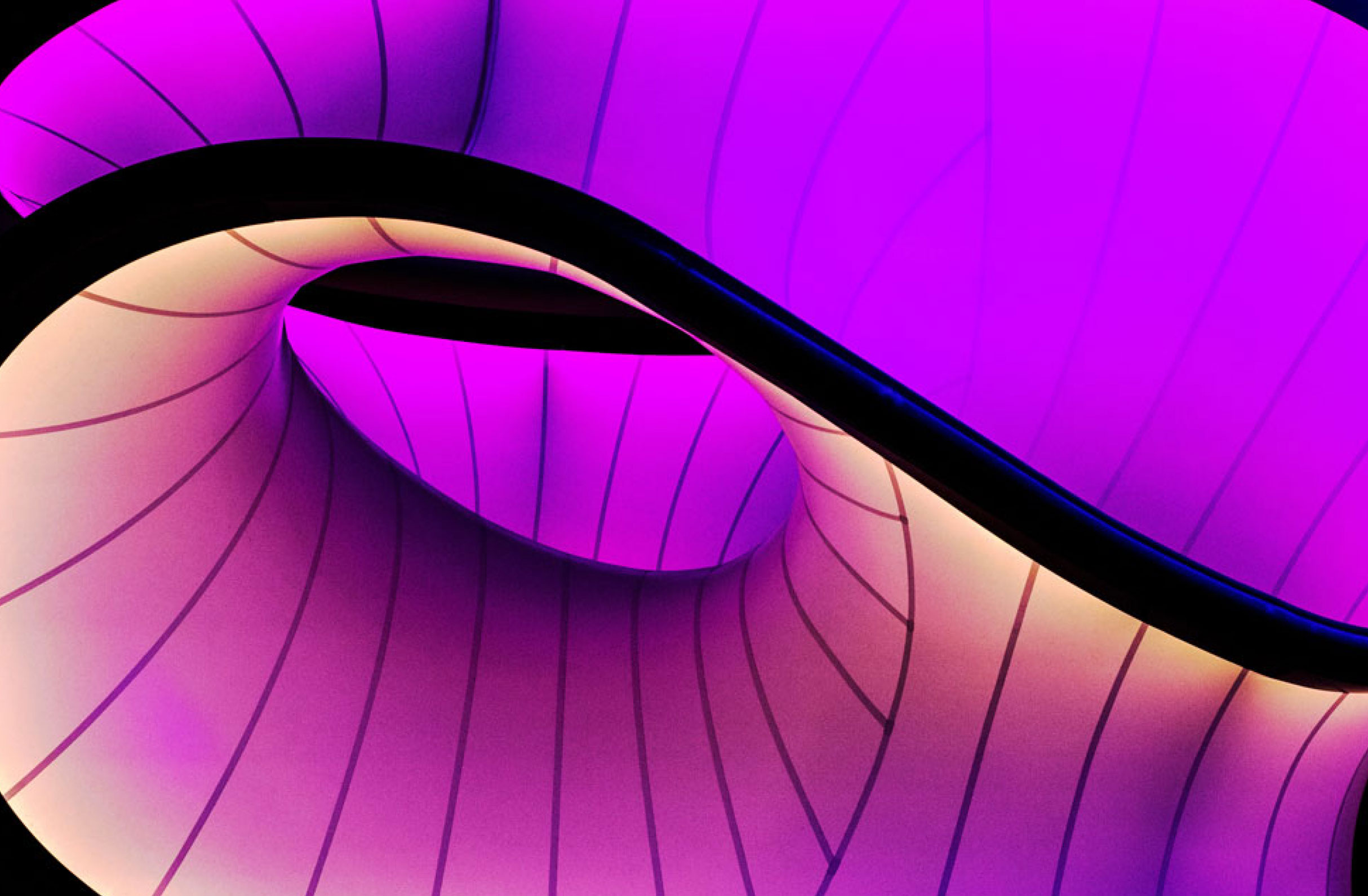 Pink abstract art