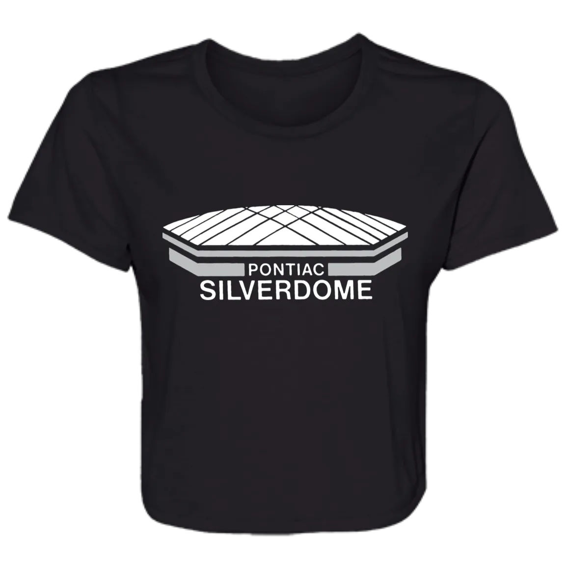 Detroit Football Silverdome Flowy Cropped Tee