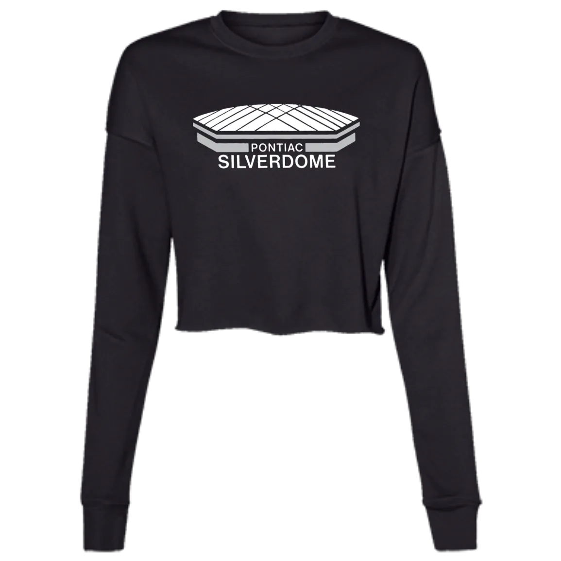 Detroit Football Silverdome Women's Cropped Crewneck Sweatshirt