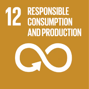 Icon for Responsible Consumption and Production, Sustainable Development Goal 12 with infinity arrow symbol.
