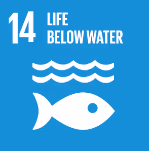 Icon with number 14, text Life Below Water, waves, and a fish on a blue background.