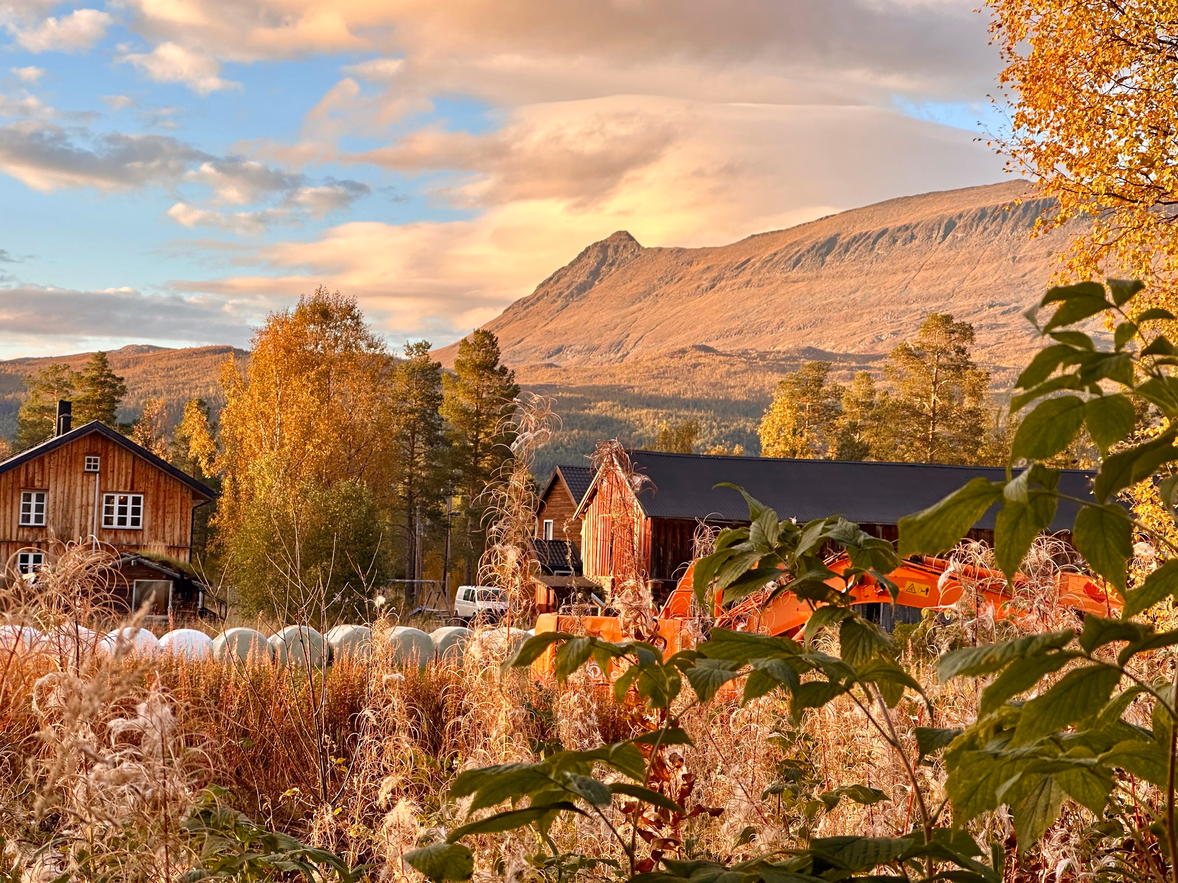 Autumn rural scene with wooden houses, autumn trees, plants, and a mountain under a cloudy sky.